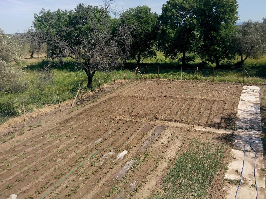Geyikli Herrara Exterior foto